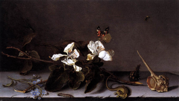  Balthasar Van der Ast Still-Life with Apple Blossoms - Art Print