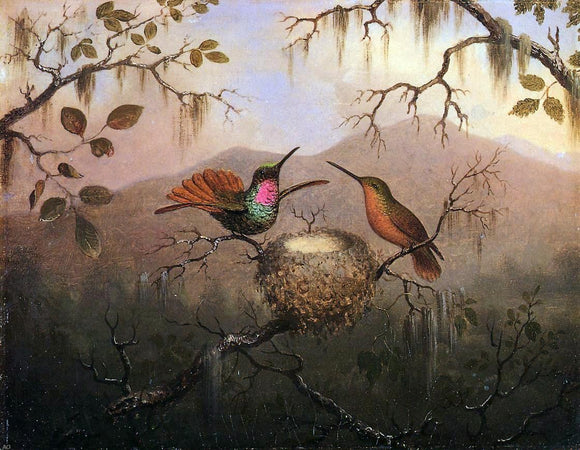  Martin Johnson Heade Two Hummingbirds at a Nest - Art Print