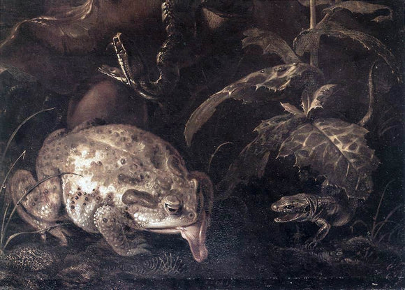  Otto Marseus Van Schrieck Still-Life with Insects and Amphibians (detail) - Art Print