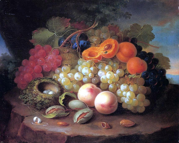  George Forster Still Life with Fruit and Bird's Nest - Art Print