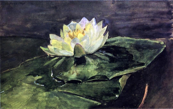  John La Farge Water Lily - Art Print