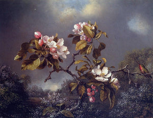  Martin Johnson Heade Apple Blossoms and Hummingbird - Art Print