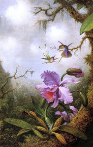  Martin Johnson Heade Two Hummingbirds and a Pink Orchid - Art Print