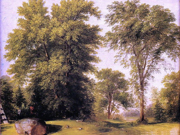  Asher Brown Durand Study from Nature, Rocks and Trees - Art Print