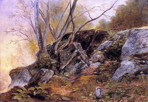  Asher Brown Durand Study in the Woods - Art Print