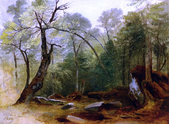  Asher Brown Durand Study of Trees, Marbletown, N.Y. - Art Print