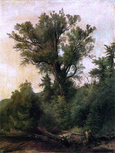  Asher Brown Durand A Stream in the Wood - Art Print