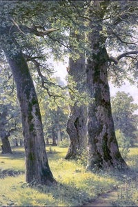  Ivan Ivanovich Shishkin Oaks - Art Print