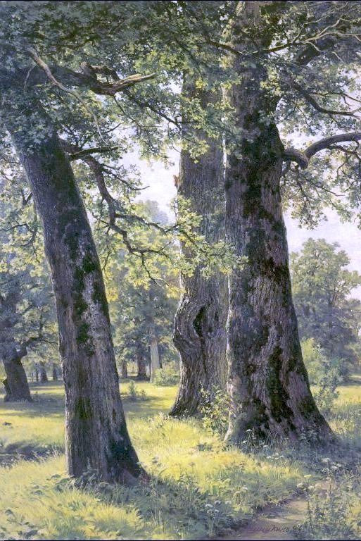  Ivan Ivanovich Shishkin Oaks - Art Print