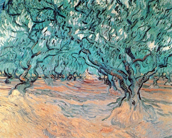  Vincent Van Gogh Olive Trees - Art Print