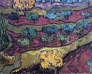  Vincent Van Gogh Olive Trees Against a Slope of a Hill - Art Print