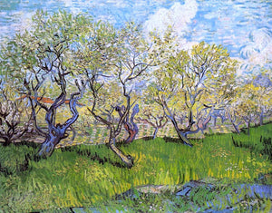  Vincent Van Gogh Orchard in Blossom - Art Print