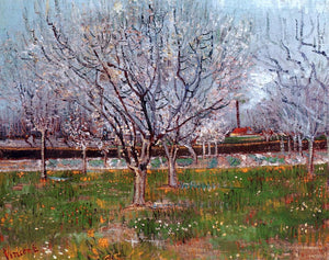  Vincent Van Gogh Orchard in Blossom (also known as Plum Trees) - Art Print