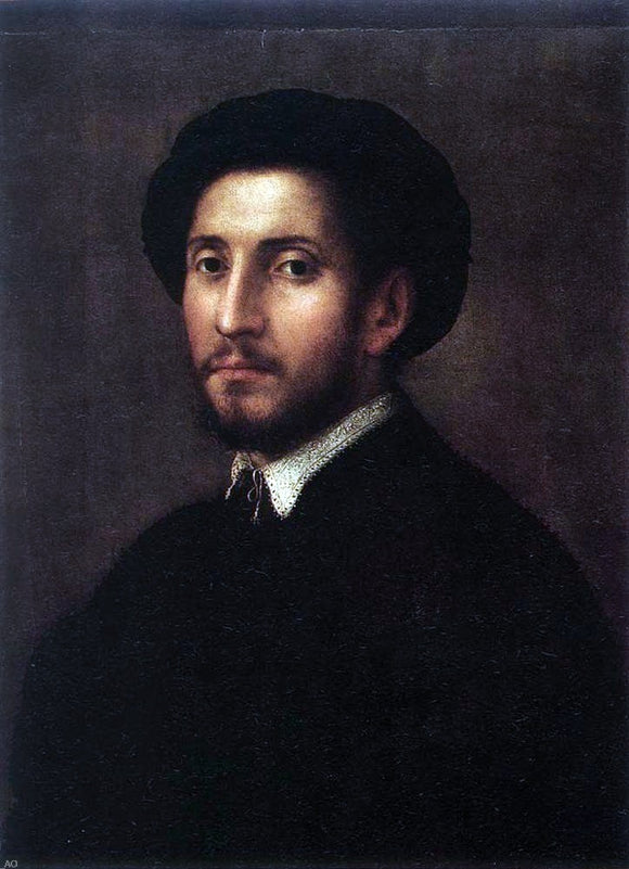  Pier Francesco Di Jacopo Foschi Portrait of a Man - Art Print