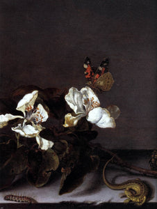  Balthasar Van der Ast Still-Life with Apple Blossoms (detail) - Art Print