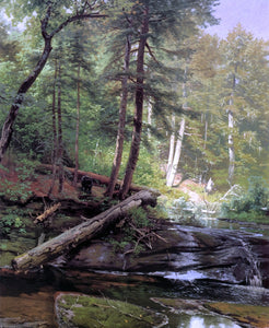  Herman Herzog A Bear Approaching a Forest Stream - Art Print