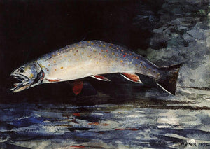  Winslow Homer A Brook Trout - Art Print