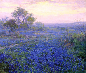 Julian Onderdonk A Cloudy Day, Bluebonnets near San Antonio, Texas - Art Print