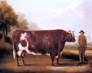  William Davis A Dark Roan Bull - Art Print