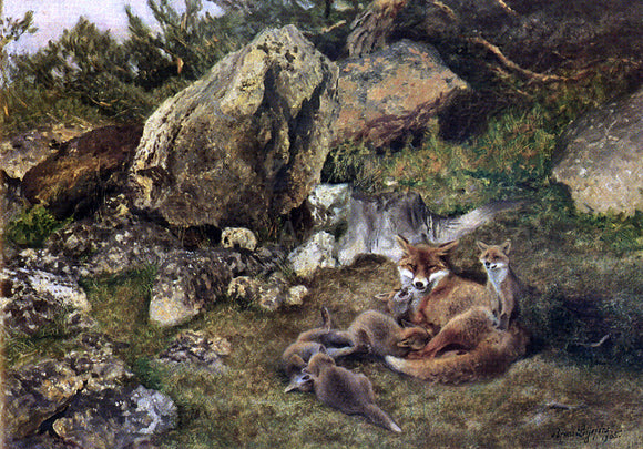  Bruno Liljefors A Family of Foxes - Art Print