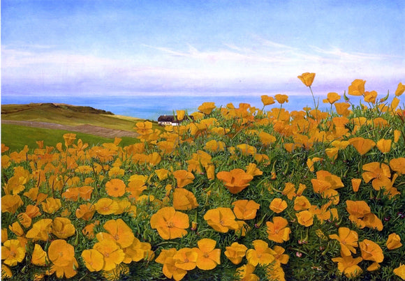  Johanne Louise Frimodt A Field of Buttercups by the Coast - Art Print