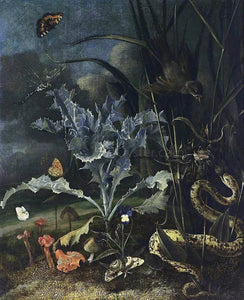  Otto Marseus Van Schrieck A Forest Floor Still-Life - Art Print