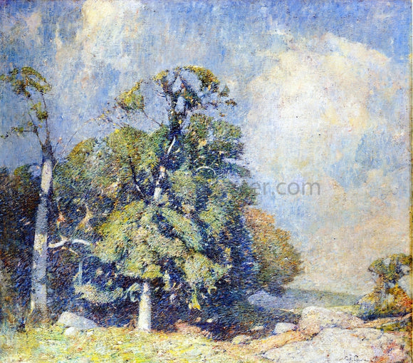  Emil Carlsen A Freshening Breeze - Art Print