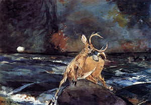  Winslow Homer A Good Shot, Adirondacks - Art Print