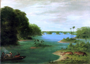  George Catlin A Jaguar Hunt, Brazil - Art Print