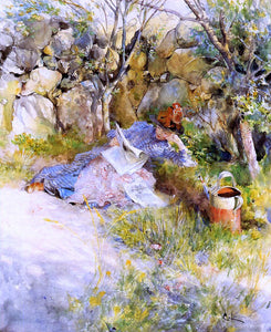  Carl Larsson A Lady Reading a Newspaper - Art Print