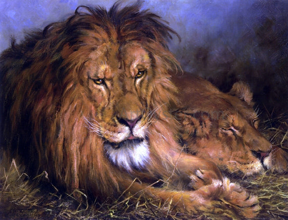  Geza Vastagh A Lion and Lioness - Art Print
