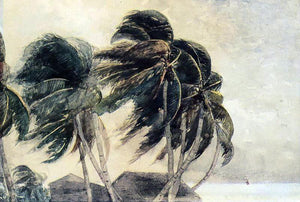  Winslow Homer A Norther - Key West - Art Print