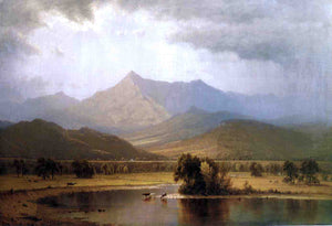  Sanford Robinson Gifford A Passing Storm in the Adirondacks - Art Print