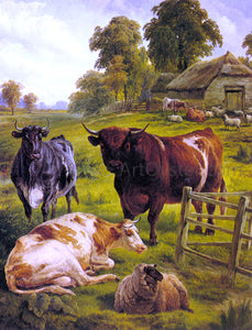  Charles Jones A Pedigree Bull - Art Print