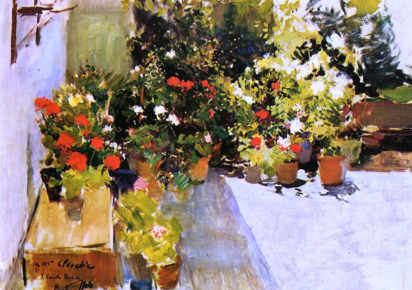  Joaquin Sorolla Y Bastida A Rooftop with Flowers - Art Print