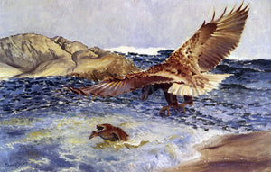  Bruno Liljefors A Sea Eagle Chasing Eider Duck - Art Print