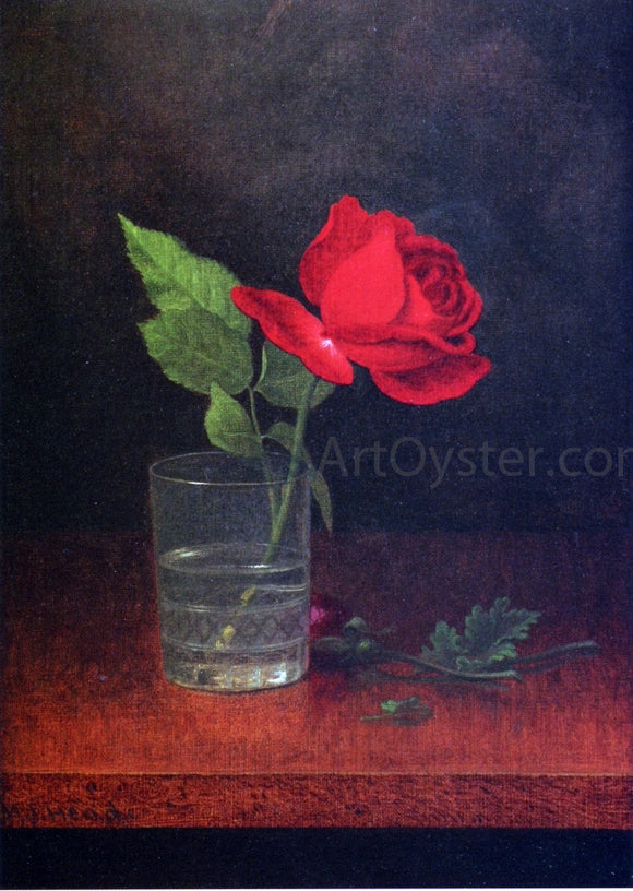  Martin Johnson Heade A Single Rose in a Glass - Art Print