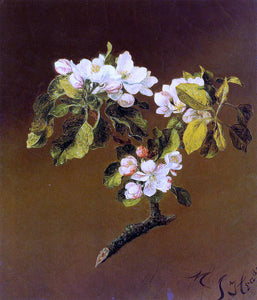  Martin Johnson Heade Spray of Apple Blossoms - Art Print