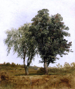 John Frederick Kensett A Study of Trees - Art Print