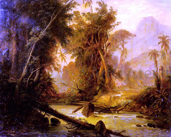  Ferdinand Bellerman Tropical Forest In Venezuela - Art Print