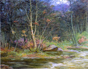  Edward Steel Harper A Woodland Rivulet - Art Print