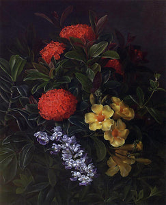 Johan Laurentz Jensen Allemanda, Ixora and Orchids - Art Print