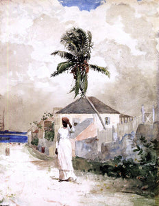  Winslow Homer Along the Road, Bahamas - Art Print