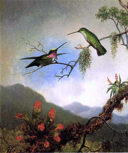  Martin Johnson Heade Amethyst Hummingbirds - Art Print