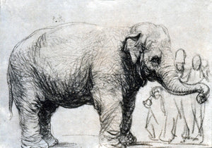  Rembrandt Van Rijn The Elephant, in the Background a Group of Spectators - Art Print