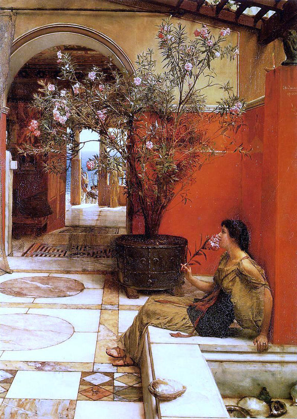  Sir Lawrence Alma-Tadema An Oleander - Art Print