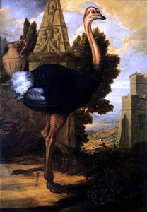  Francis Barlow An Ostrich - Art Print