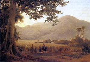  Camille Pissarro Antilian Landscape, St. Thomas - Art Print