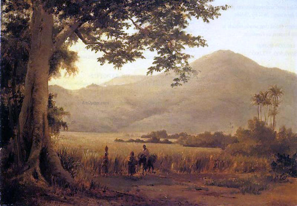  Camille Pissarro Antilian Landscape, St. Thomas - Art Print
