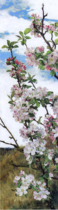  Alfred R.A. P.R.W.S. Apple Blossoms - Art Print